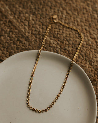 Erina Chain - Gold Plated