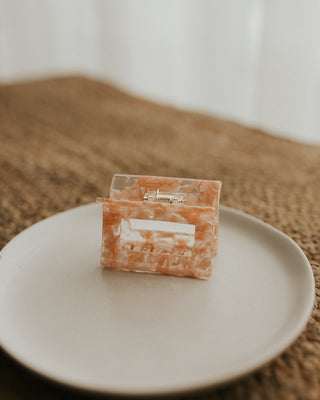 Clara Small Hair Clip