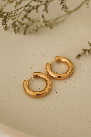 Bold Hoops Earrings – 24 mm – Gold Plated