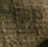 kaki