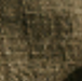 kaki
